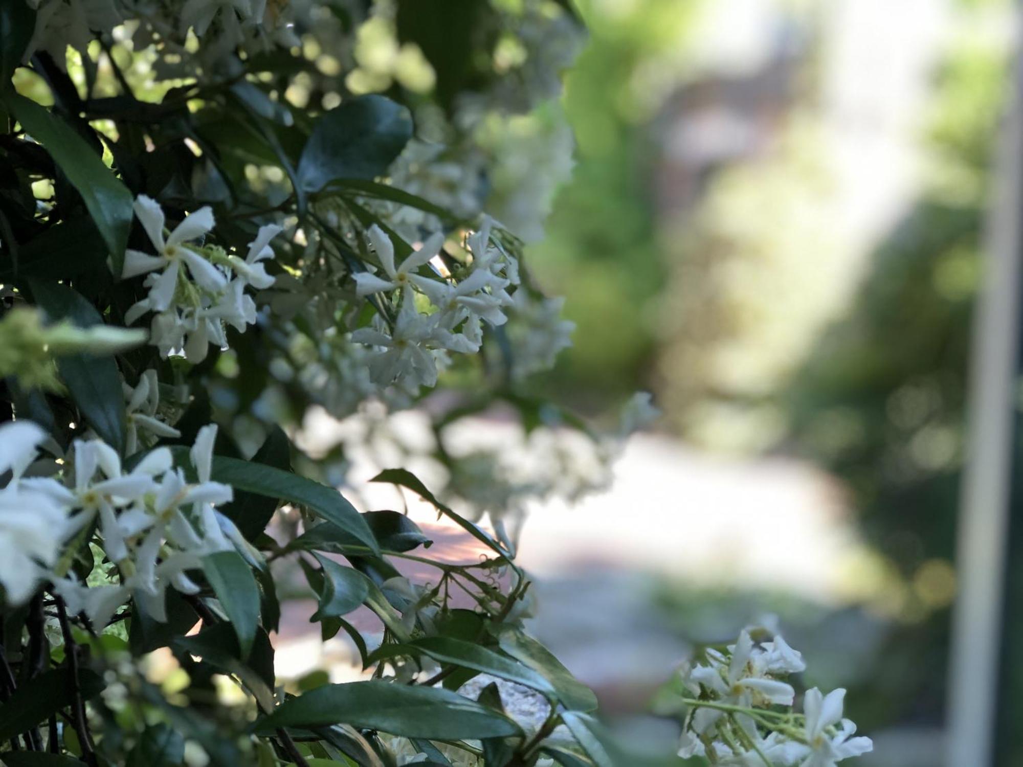 Aux Herbes Hautes Fleurbaix Zewnętrze zdjęcie